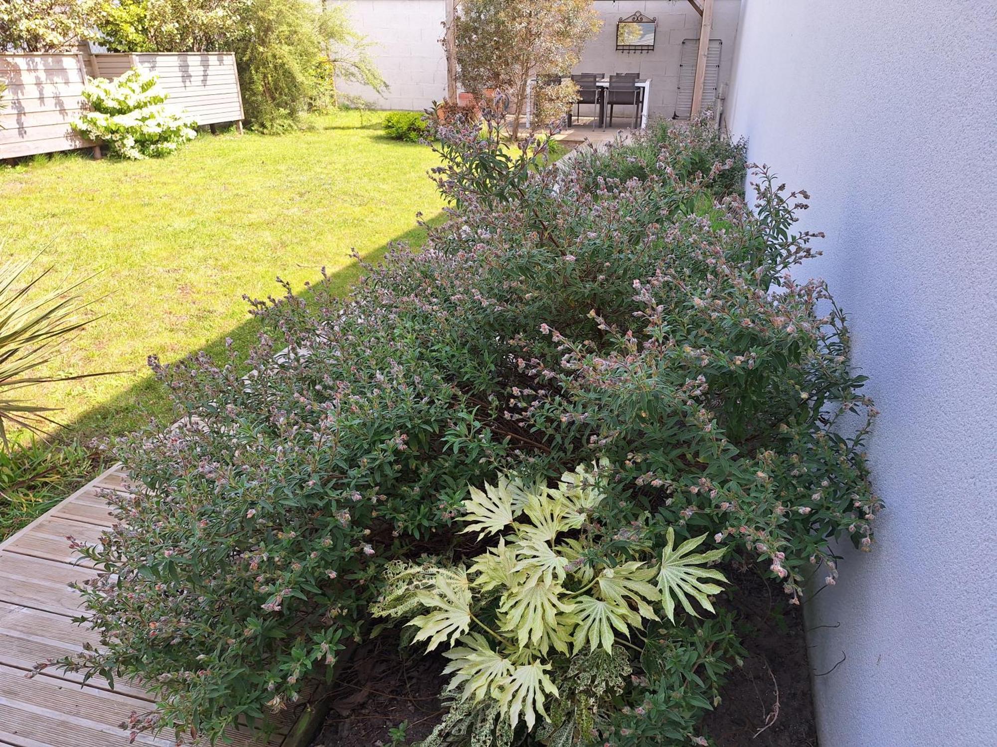 Planchesdisa Villa Saint-Pair-sur-Mer Exterior foto